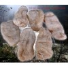 自產自銷昭通小草壩天麻特級500g
