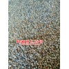 砂仁花椒基地直銷_砂仁價格_花椒批發