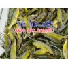 叉尾魚(yú)價(jià)格|黃辣丁魚(yú)價(jià)格@ 鱸魚(yú)苗價(jià)格◆鱸魚(yú)多少錢一斤