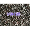 白芍種子多少錢？