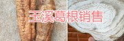 玉溪生態(tài)野葛根、葛根干片銷售，干葛根批發(fā)