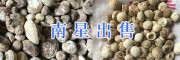 求購(gòu)龍膽草-昆明龍膽草、天南星干銷(xiāo)售