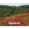 昆明富民縣、武定土地（規(guī)模大）租售-辦不動(dòng)產(chǎn)登記證過(guò)戶(hù)