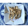 中藥材秦艽批發-獨根秦艽價格/13577293119