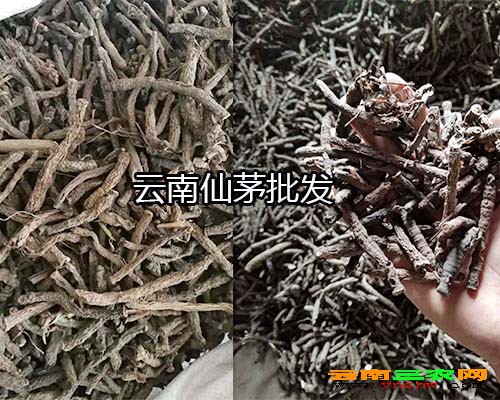 云南仙茅批發(fā)