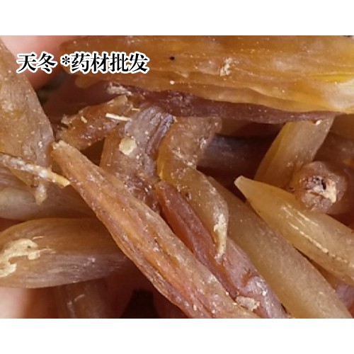 天冬玉林家種價錢？
