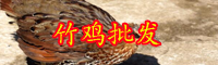 脊椎動(dòng)物竹雞是保護(hù)動(dòng)物嗎？吃什么長(zhǎng)大的？