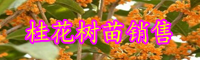 云南紅桂花樹(shù)苗價(jià)格多少錢一株？