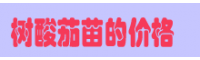 樹酸茄價格查詢網(wǎng)       云南樹酸茄苗批發(fā)