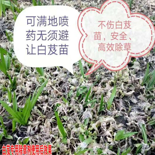 云南中藥材基地專(zhuān)用除草劑(說(shuō)明書(shū))_專(zhuān)用中藥材除草劑圖片
