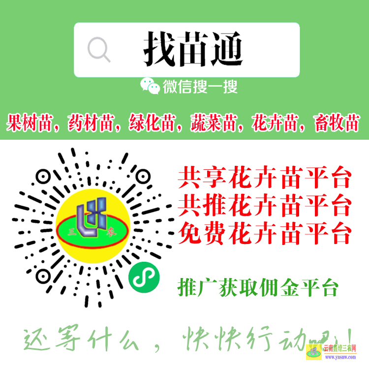 天津河西網(wǎng)上哪個(gè)平臺(tái)上的果樹(shù)苗正宗 微信搜一搜[找苗通] 蔬菜苗蔬菜買(mǎi)賣(mài)供享平臺(tái)