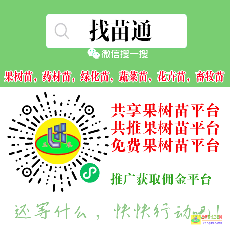 天津河西網(wǎng)上哪個(gè)平臺(tái)上的果樹(shù)苗正宗 微信搜一搜[找苗通] 蔬菜苗蔬菜買(mǎi)賣(mài)供享平臺(tái)