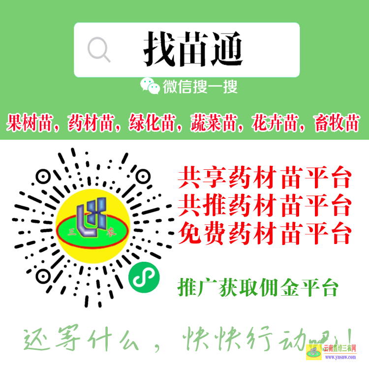 天津河西網(wǎng)上哪個(gè)平臺(tái)上的果樹(shù)苗正宗 微信搜一搜[找苗通] 蔬菜苗蔬菜買(mǎi)賣(mài)供享平臺(tái)