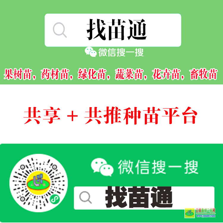 云南臨滄滄源大果樹苗木交易平臺 微信搜一搜[找苗通] 什么平臺能買到蔬菜苗