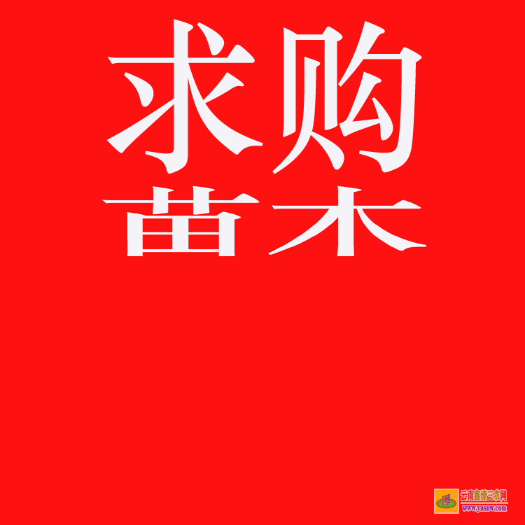 嵩明苗木銷售如何找客戶 上門收購綠化樹木 工程急需苗木求購信息