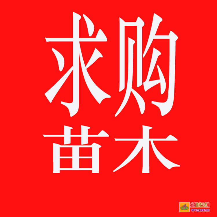 江津藥材苗木交易市場(chǎng) 中藥材苗木 藥材苗木網(wǎng)