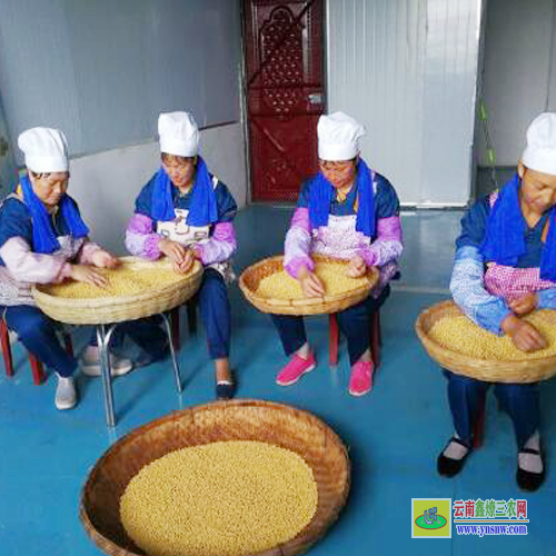 河南豆腐皮批發廠家| 懷安豆腐皮批發| 豆腐皮批發直播