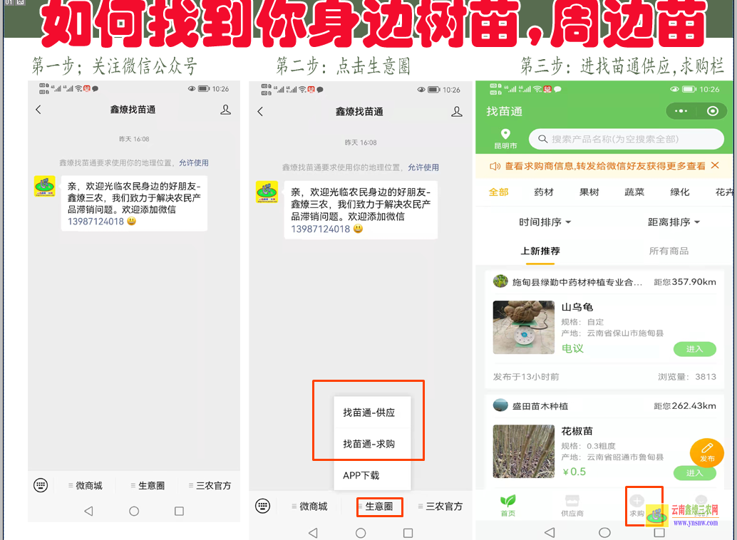 迪慶江西藥材種植苗供應商| 藥材黃精圖片 藥材苗店鋪