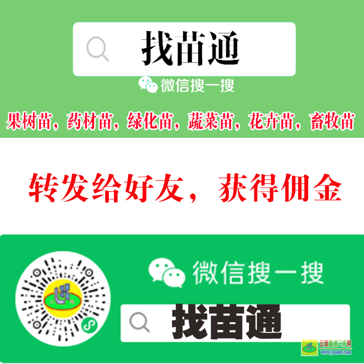 文山果樹苗用什么肥料好| 果樹苗什么時候栽植是的 果樹苗購銷合同