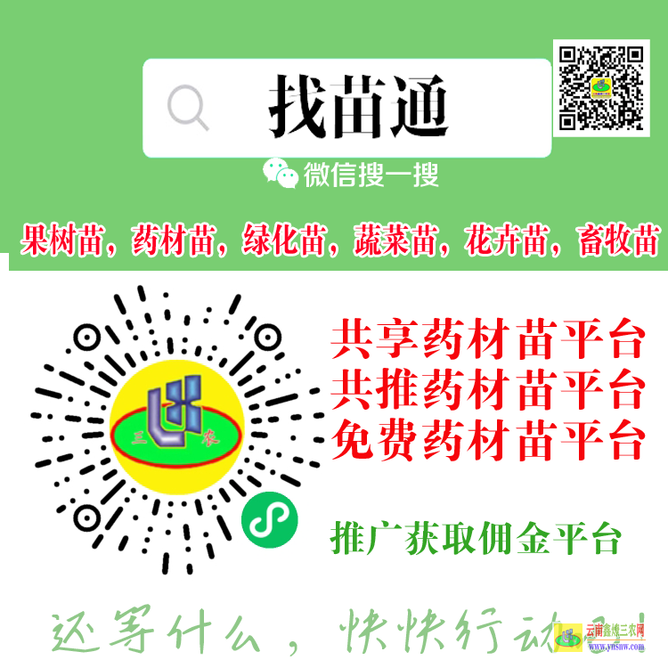 曲靖果樹苗用什么肥料好| 果樹苗什么時候栽植是的 果樹苗購銷合同