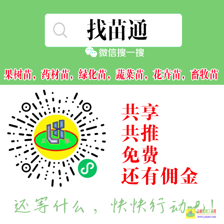 曲靖三年苗各種苗大全| 果樹(shù)苗批發(fā)基地 果樹(shù)苗購(gòu)銷合同