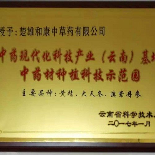 普洱思茅續斷苗圖片 續斷長什么樣？ 續斷價格