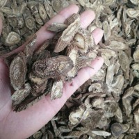 求購肉獨活，木香統貨